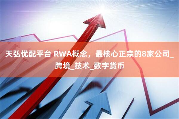 天弘优配平台 RWA概念,最核心正宗的8家公司_跨境_技术_数字货币