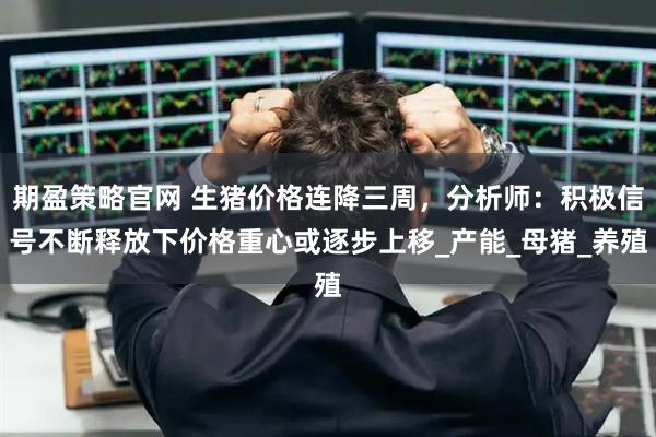 期盈策略官网 生猪价格连降三周,分析师:积极信号不断释放下价格重心或逐步上移_产能_母猪_养殖