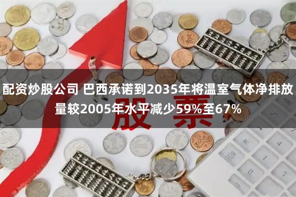 配资炒股公司 巴西承诺到2035年将温室气体净排放量较2005年水平减少59%至67%