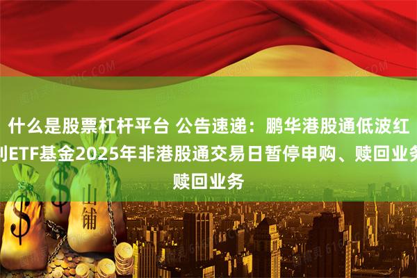 什么是股票杠杆平台 公告速递：鹏华港股通低波红利ETF基金2025年非港股通交易日暂停申购、赎回业务