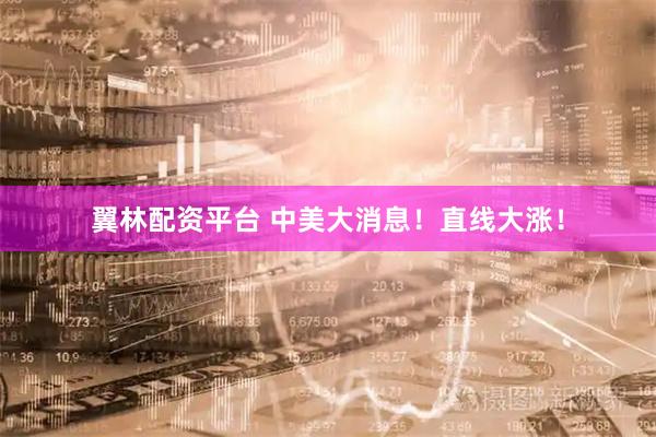 翼林配资平台 中美大消息！直线大涨！