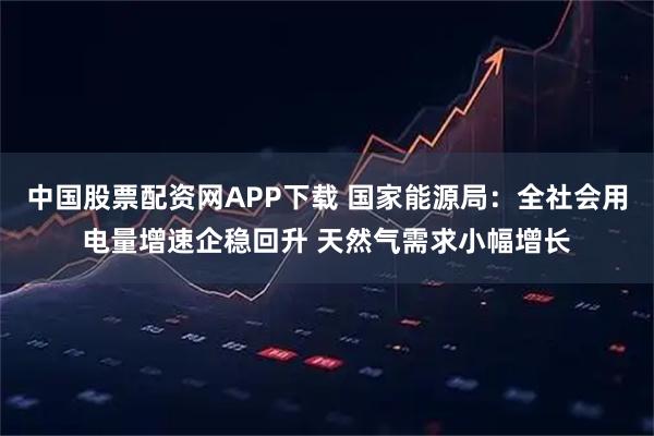 中国股票配资网APP下载 国家能源局：全社会用电量增速企稳回升 天然气需求小幅增长